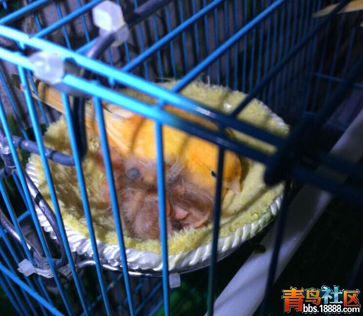 QQ图片20150313222718.jpg