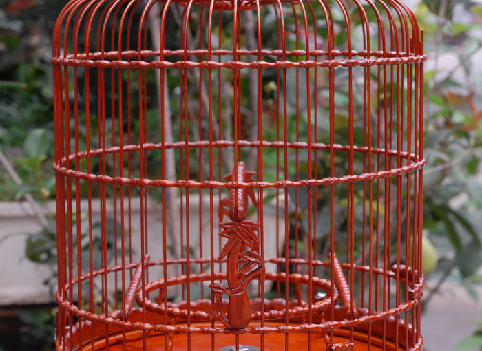 DSC_0047.JPG