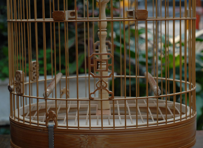 DSC_0009.JPG