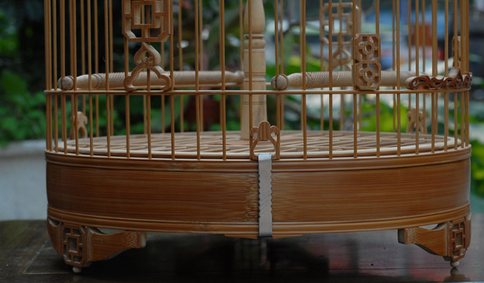 DSC_0012.JPG