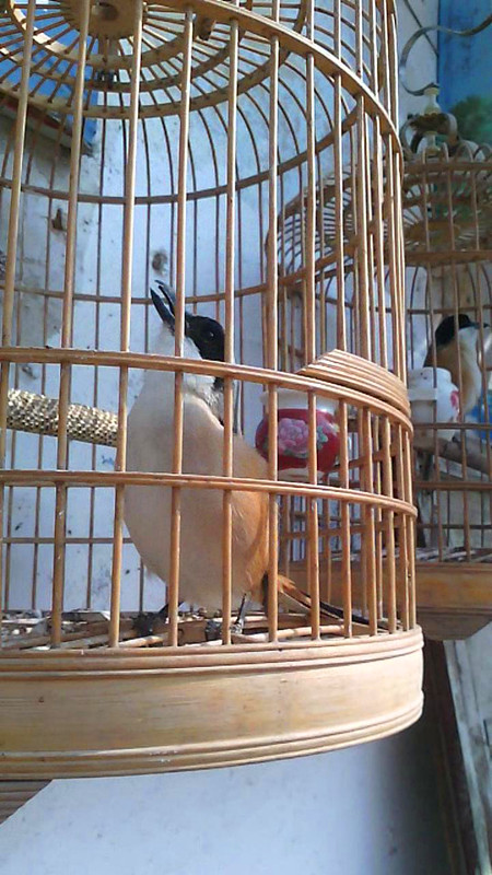 暴风截图201531214387906_副本.jpg