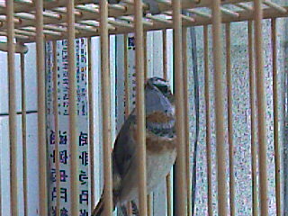 复件 IMAGE_263.jpg