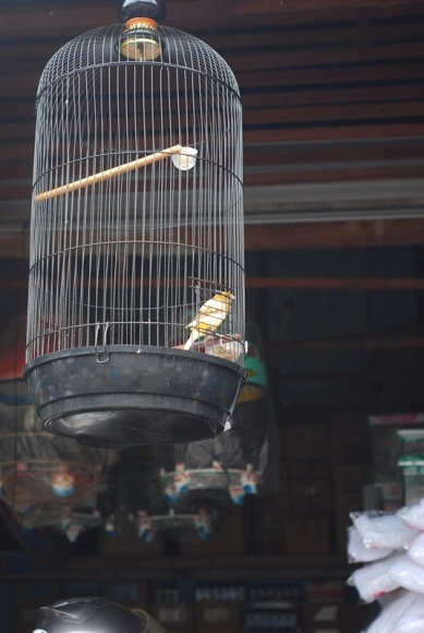 DSC_4035.JPG