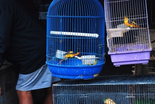 DSC_4045.JPG