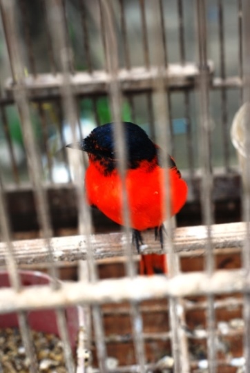 DSC_4067.JPG