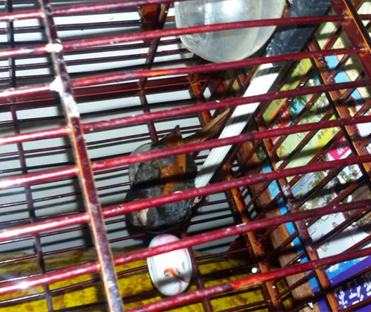 20150331_213926_副本.jpg