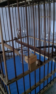 IMAG0107.jpg