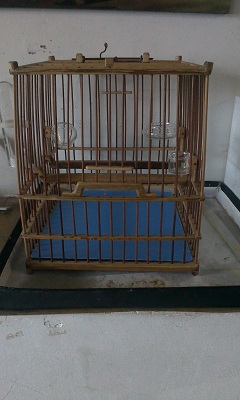 IMAG0104.jpg