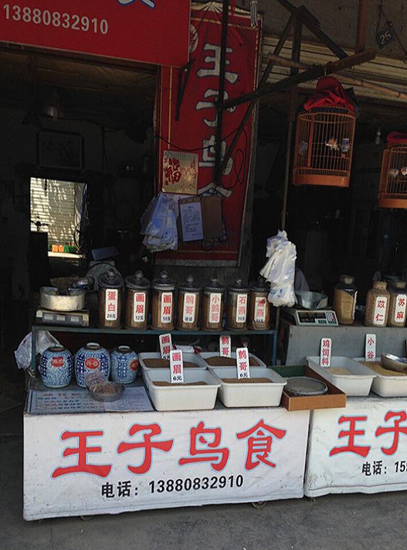 川9.JPG