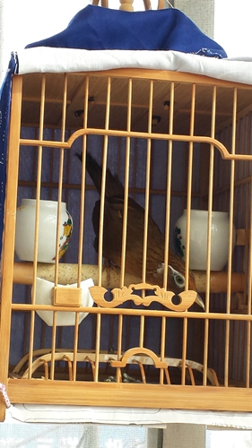 20150320_150735.jpg