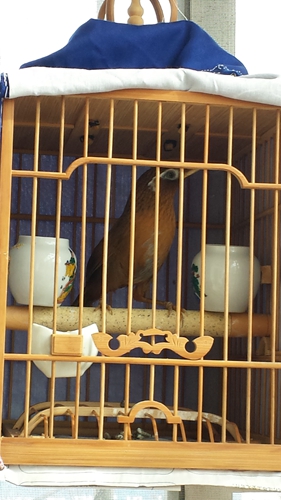 20150320_150728.jpg