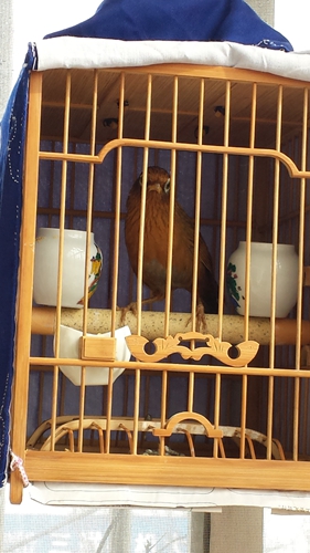 20150320_150804.jpg