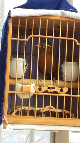 20150320_150741.jpg