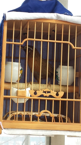 20150320_150752.jpg