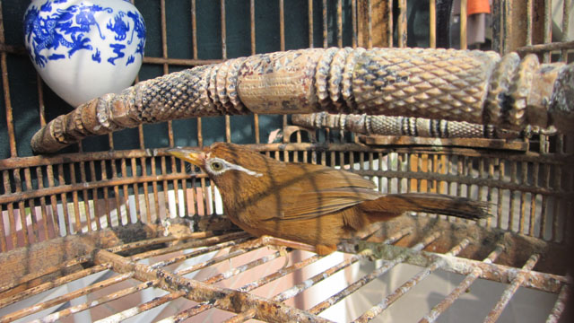 照片 544.jpg