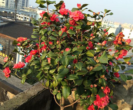 照片 012.jpg