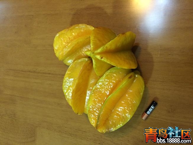 照片 097.jpg