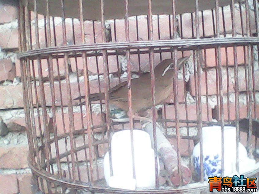 DSC_0000996_副本.jpg
