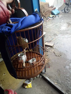 psb (7)_副本.jpg