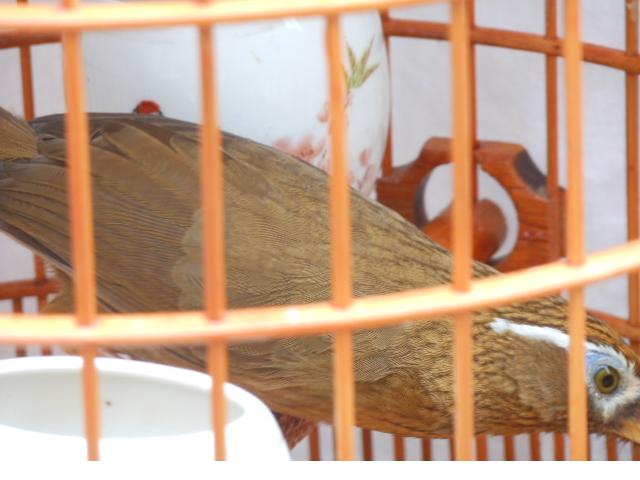 照片 006.jpg