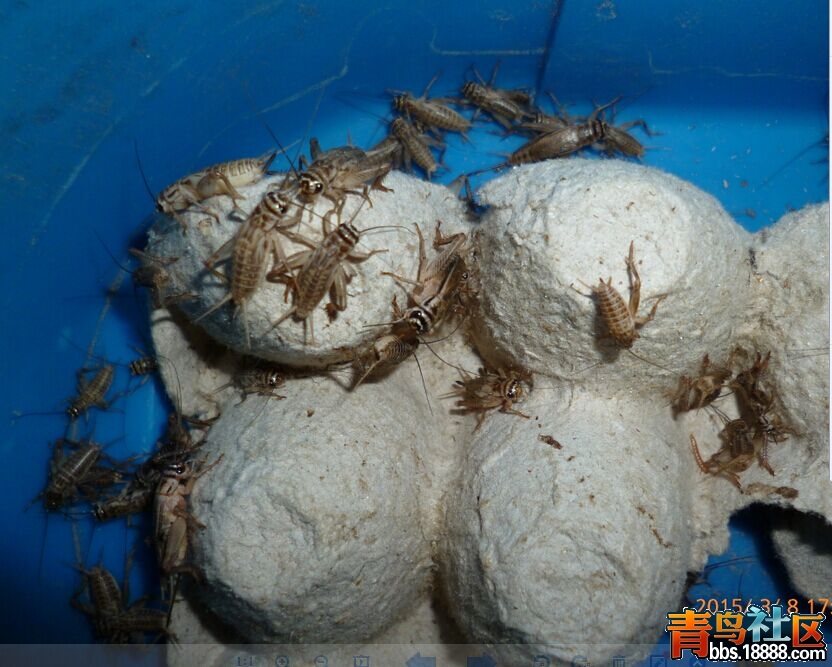 QQ图片20150308211244.jpg