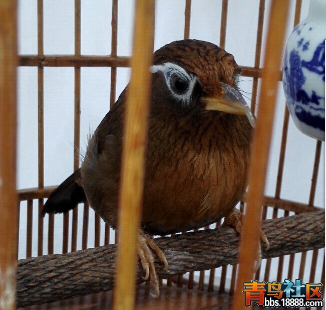 QQ图片20150302154259.jpg