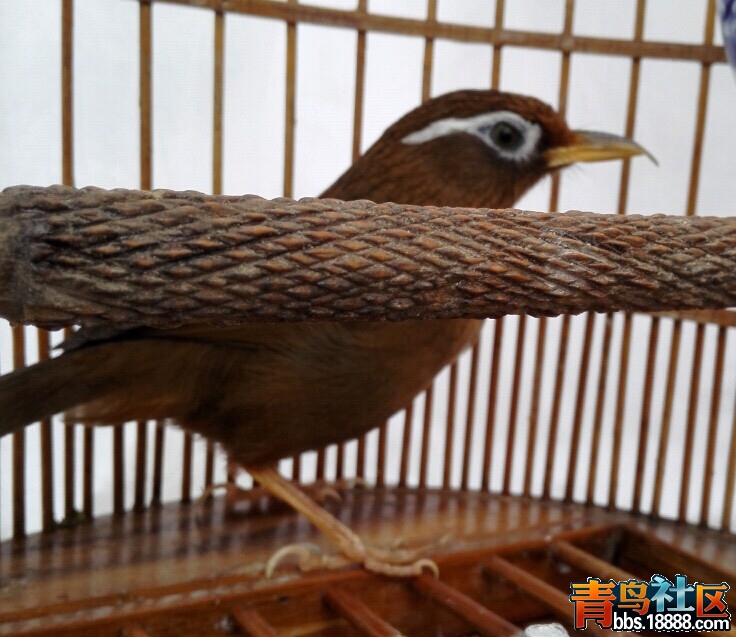 QQ图片20150302154401.jpg