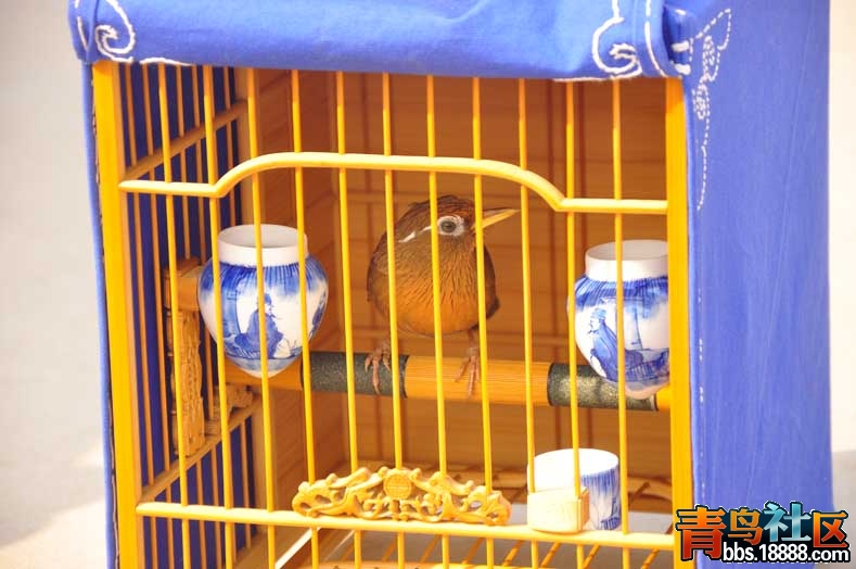 DSC_0010.JPG
