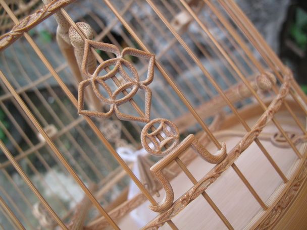 IMG_1776_调整大小.JPG