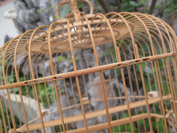 IMG_1845_调整大小.JPG