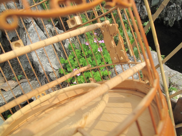IMG_1905_调整大小.JPG