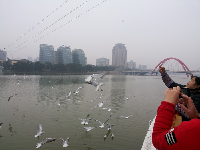 20150307_093024_调整大小.jpg