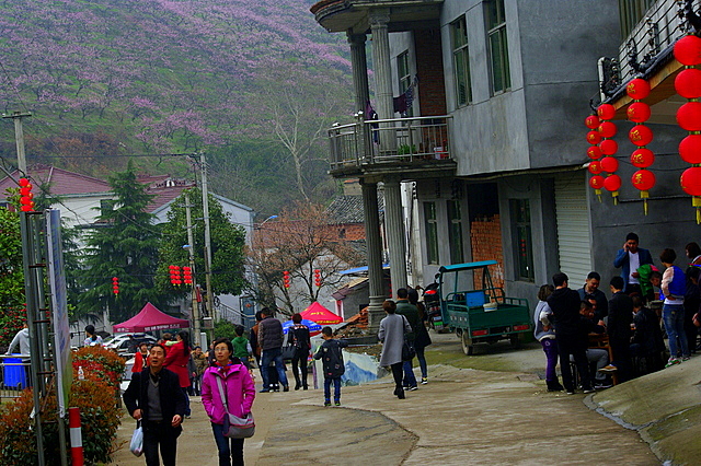 IMGP6464-001.JPG