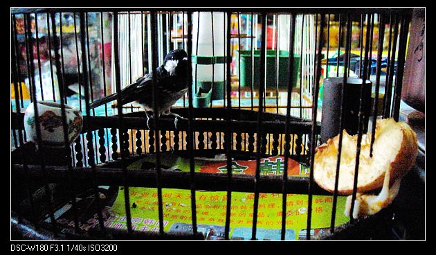 nEO_IMG_DSC05552.jpg