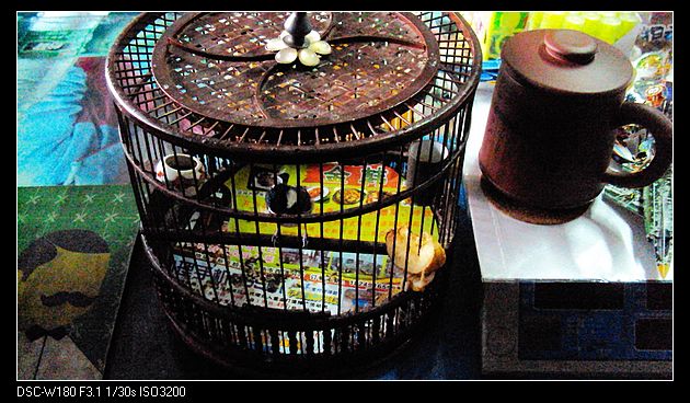 nEO_IMG_DSC05554.jpg