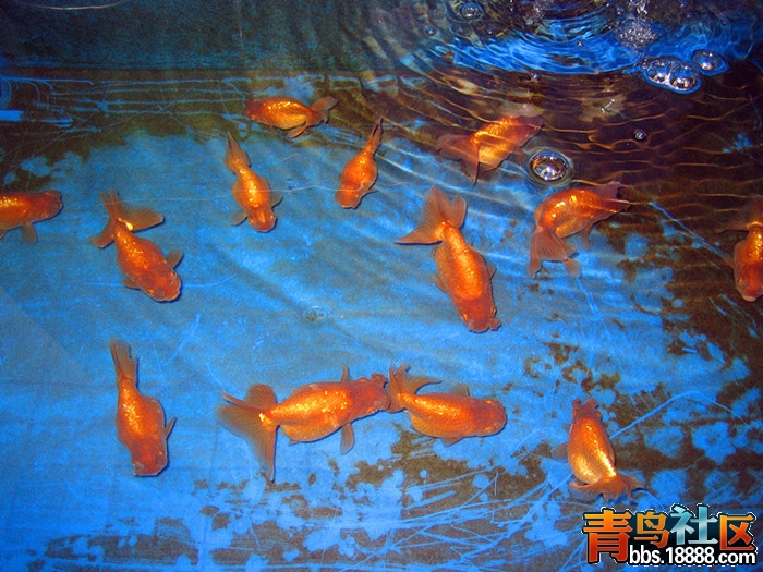 22_副本.jpg
