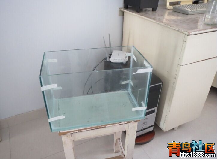 鱼缸3.jpg