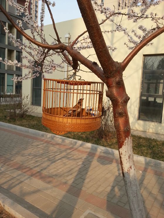 20150325_160343_副本.jpg