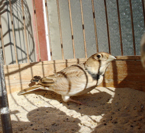 DSC00906.JPG