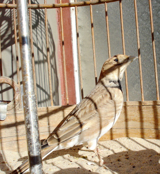 DSC00905.JPG