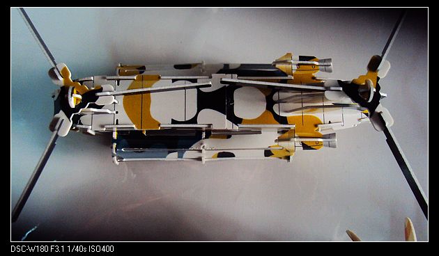 nEO_IMG_DSC05488.jpg