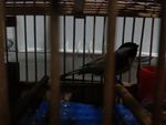 20150316_184515_副本.jpg