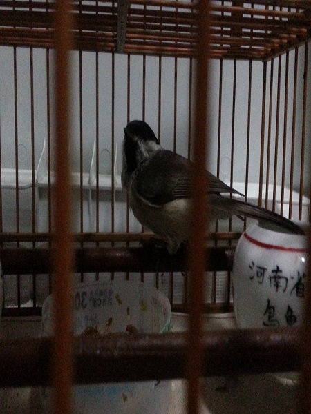 20150316_1843.jpg