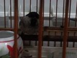20150316_183936_副本.jpg