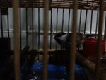 20150316_184328_副本.jpg