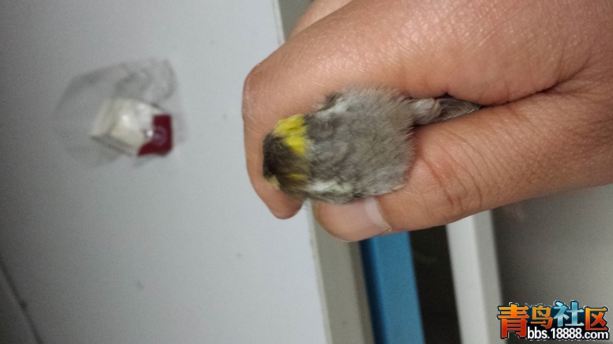 20150418_182011.jpg