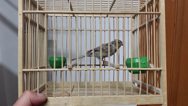 20150418_202754.jpg