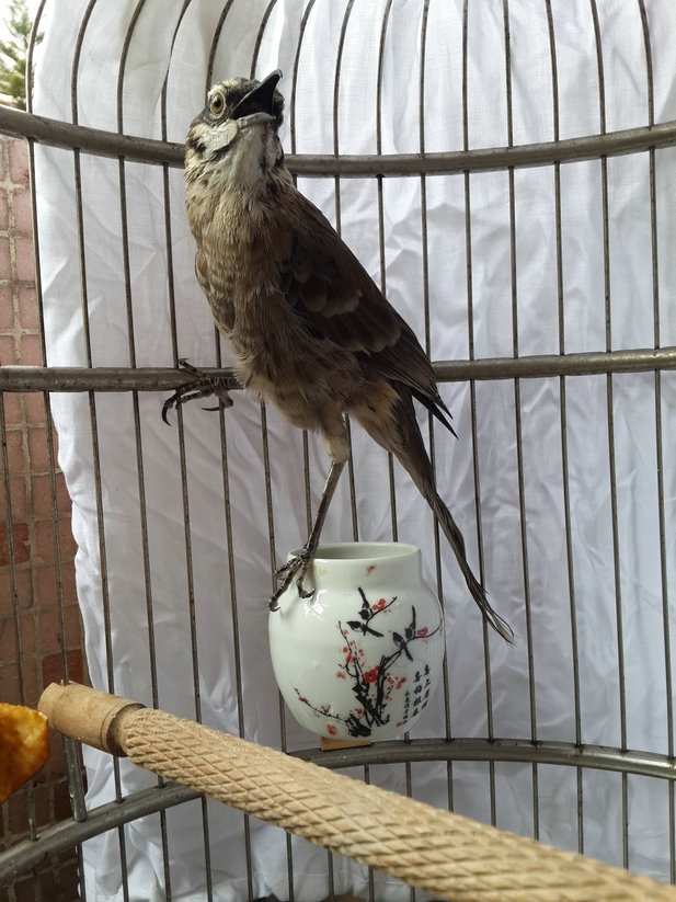 20150406_143837.jpg