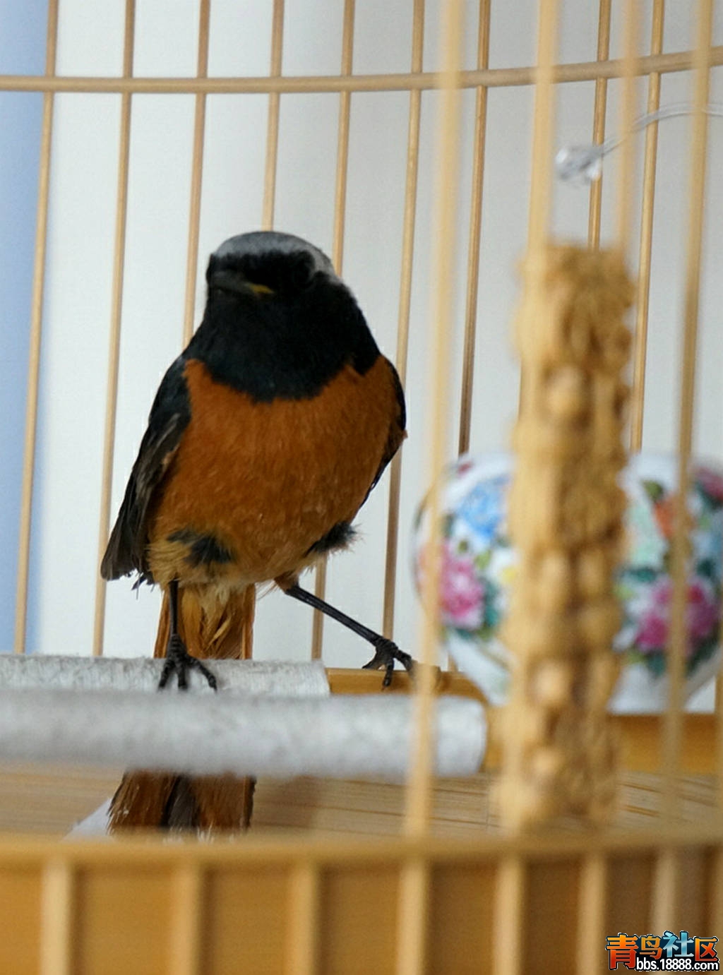 DSC01512_副本.jpg