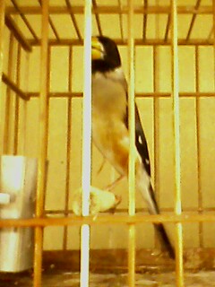 IMG0121A.jpg